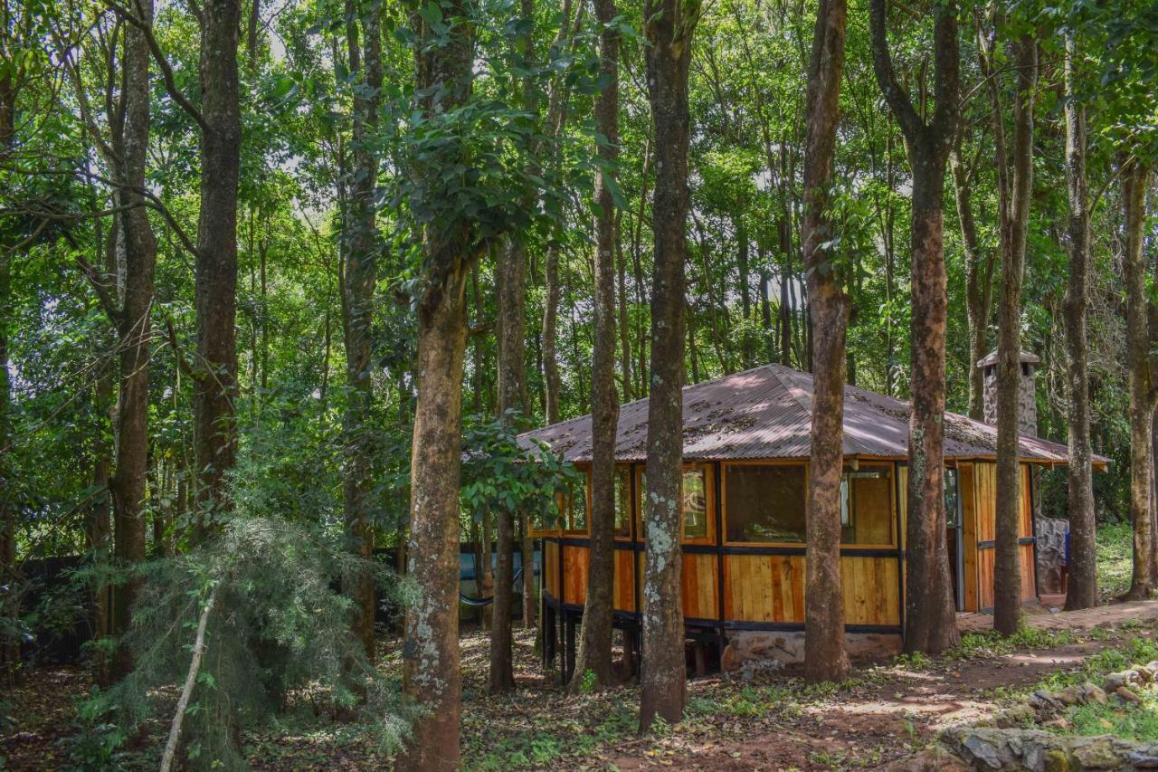 Africana Yard คิทาเล ภายนอก รูปภาพ